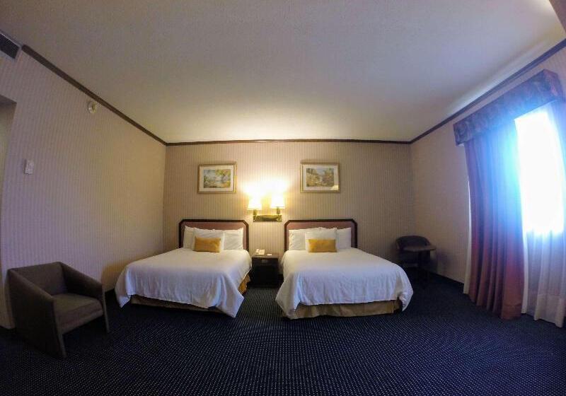 スーペリアールーム, Great Polonia Kraków Airport   Ex Hotel Witek