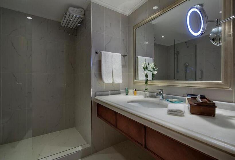 带大床的豪华间, Wyndham Grand Kayseri