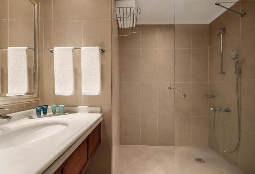 带大床的豪华间, Wyndham Grand Kayseri