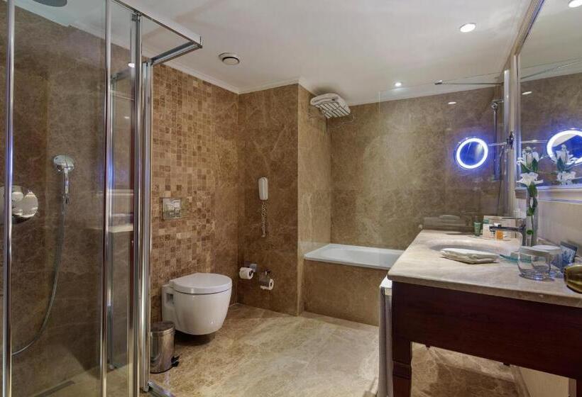 行政房间, Wyndham Grand Kayseri
