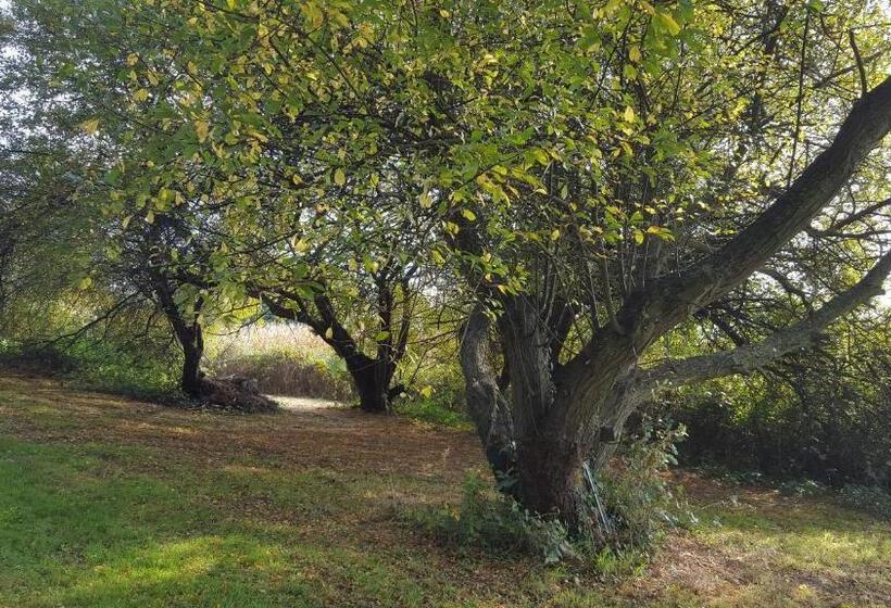 חדר סטנדרט, Chambres D'hôtes Du Manoir Du Haut Salmon