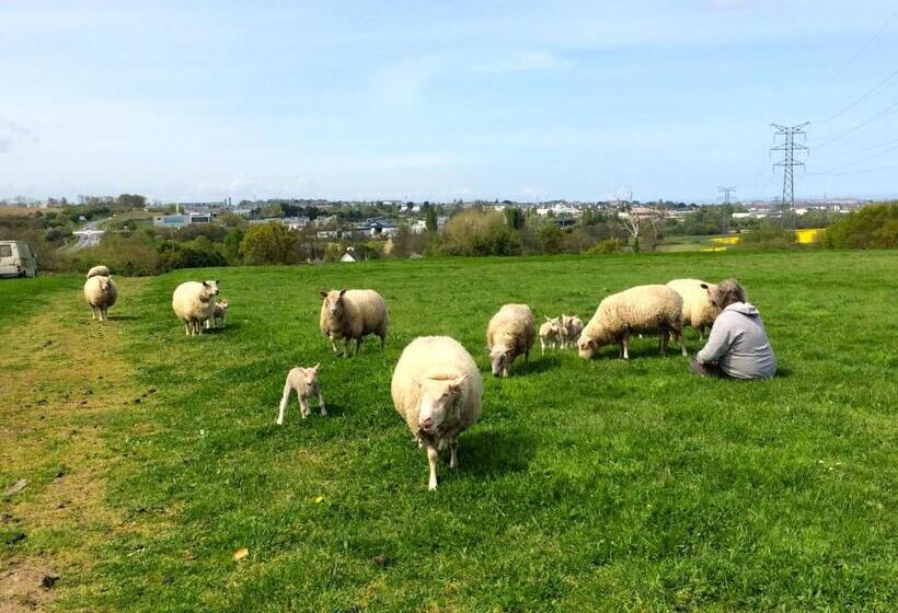 חדר משפחתי, Chambres D'hôtes Du Manoir Du Haut Salmon