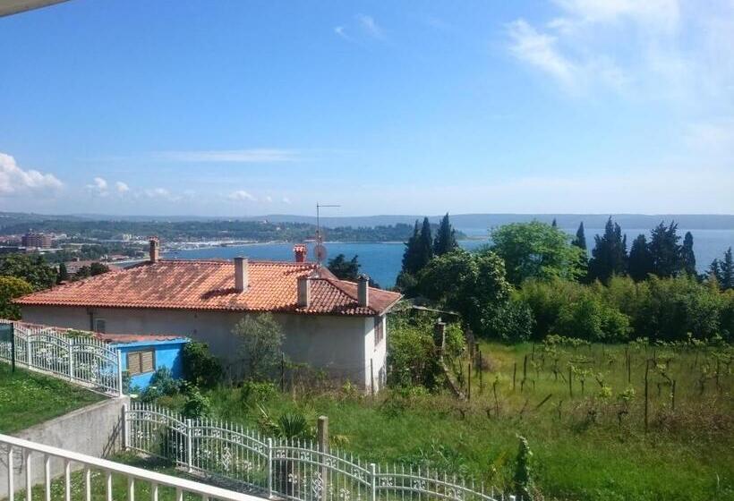 اتاق استاندارد با بالکن و چشم‌انداز دریا, Guest House Vila Luka