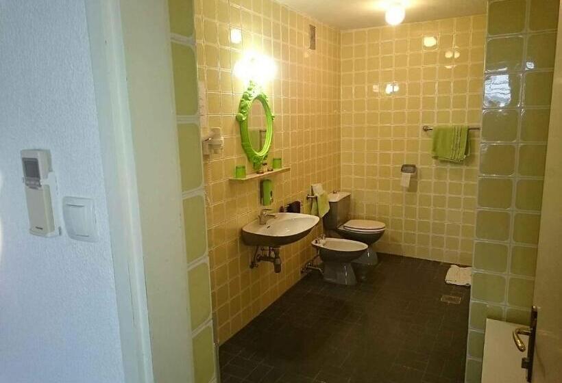 اتاق سوپریور, Guest House Vila Luka