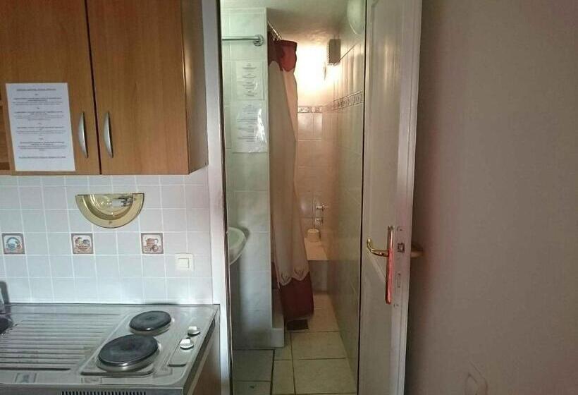 اتاق عادی, Guest House Vila Luka