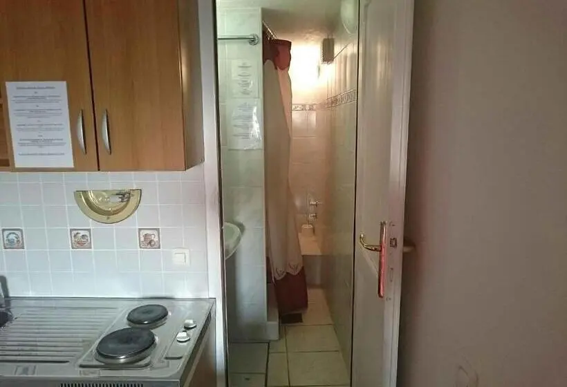 اتاق عادی, Guest House Vila Luka