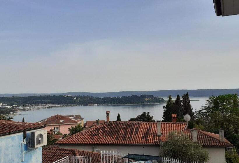 سوییت با چشم‌انداز دریا, Guest House Vila Luka