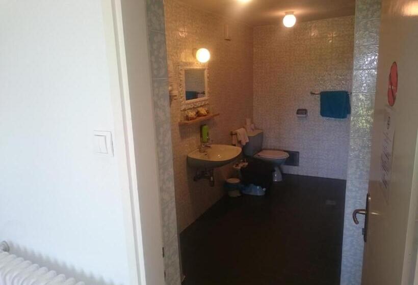 اتاق استاندارد با چشم‌انداز باغ, Guest House Vila Luka