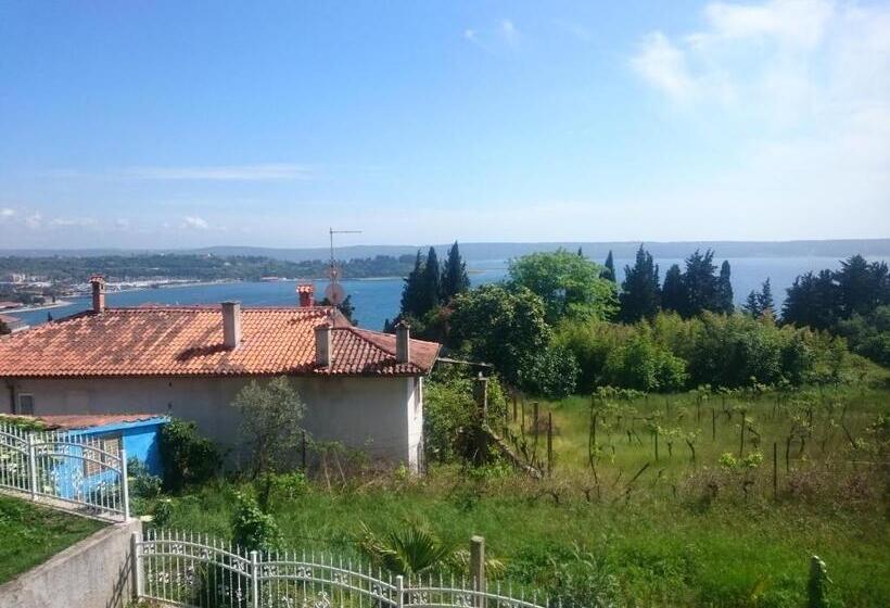 اتاق استاندارد با بالکن و چشمانداز دریا, Guest House Vila Luka