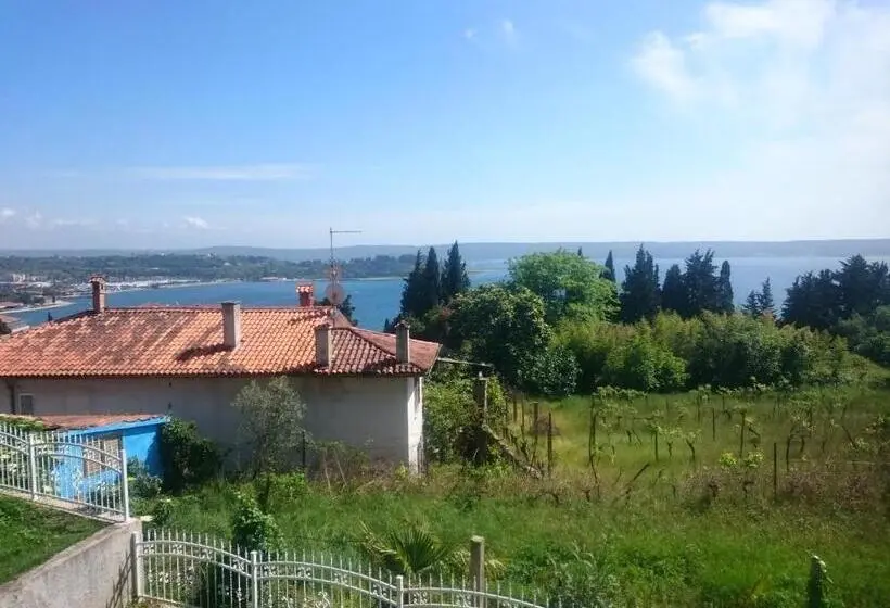 اتاق سوپریور, Guest House Vila Luka