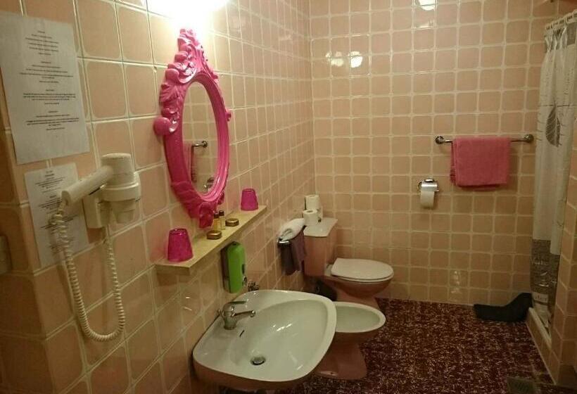 اتاق سوپریور, Guest House Vila Luka