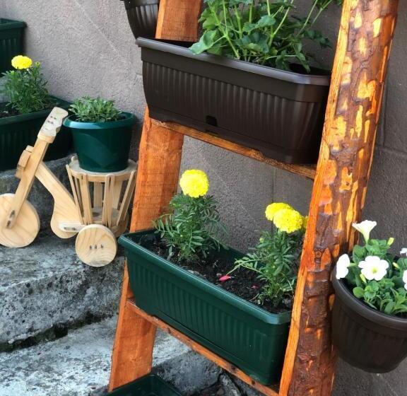 דירת שני חדרים, Vidikovac Bijelo Polje