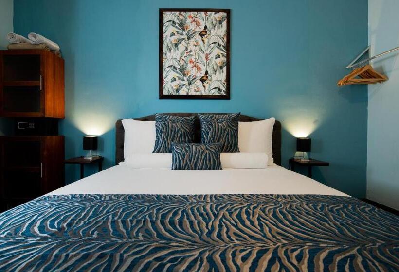 اتاق استاندارد با تخت بزرگ, Villa Amalie & Villa Curiel