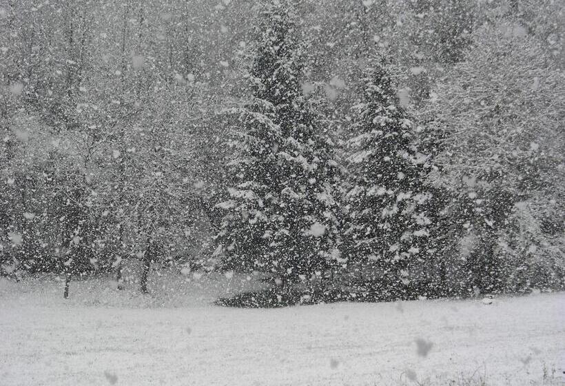 شقة غرفة واحدة, Villetta Val Di Sole