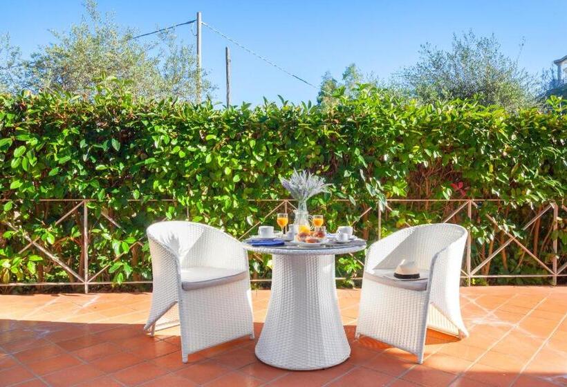 스탠다드 테라스 룸, Atlantic Palace