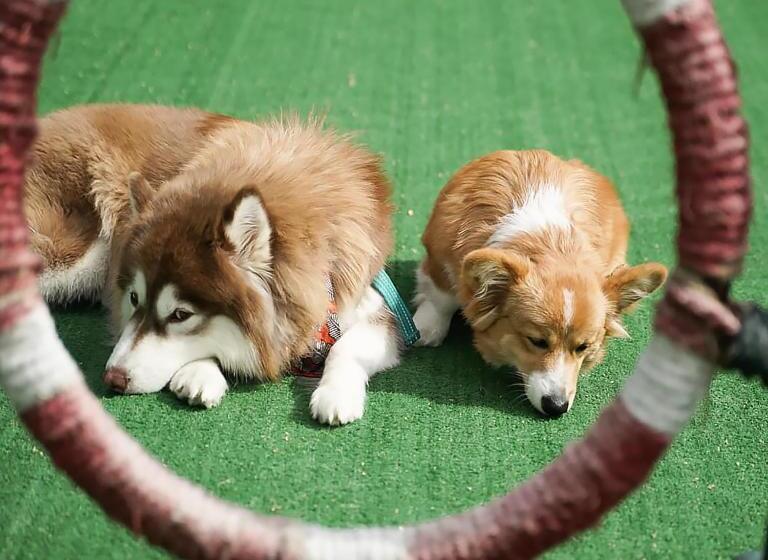 빌라 침실 1개, Long Beach Garden Hotel & Pavilions