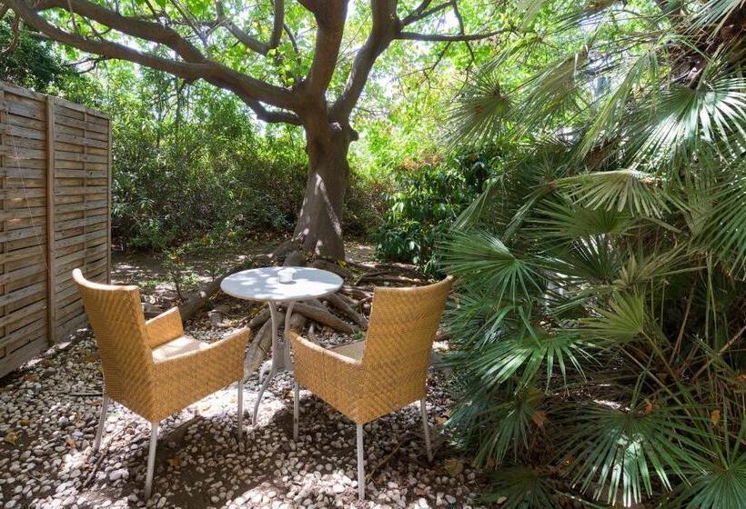 غرفة قياسية, Romano Palace Luxury