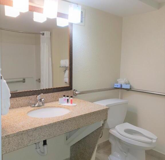 غرفة قياسية سرير كينج لذوى الإحتياجات الخاصة, Best Western Fishers Indianapolis Area