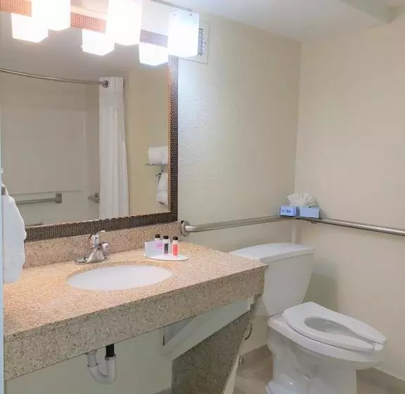 身障者適用キングサイズベッドルーム, Best Western Fishers Indianapolis Area