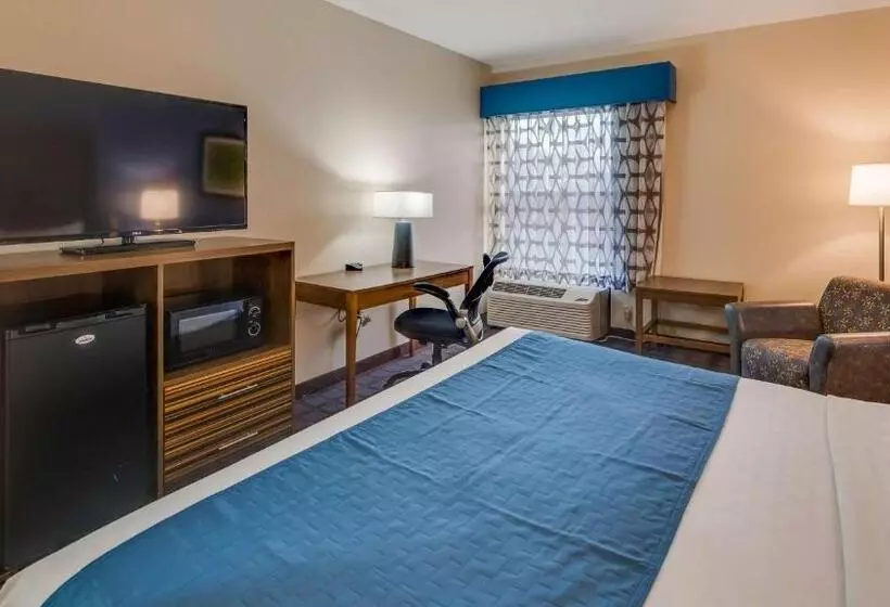 身障者適用キングサイズベッドルーム, Best Western Fishers Indianapolis Area