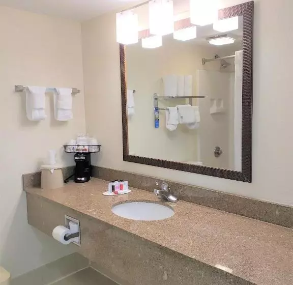 スタンダードルーム, Best Western Fishers Indianapolis Area