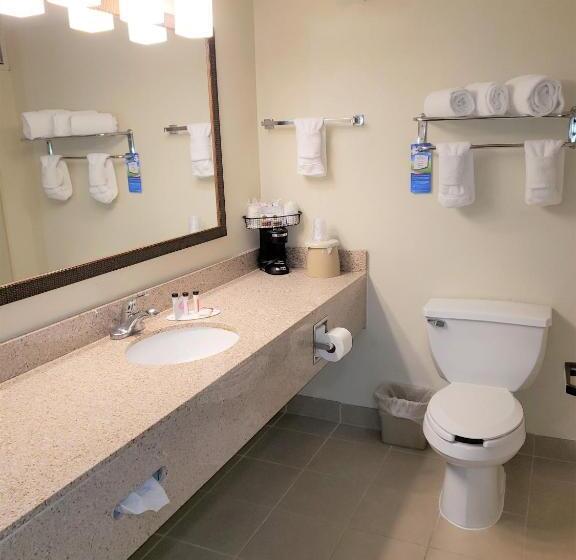 غرفة قياسية سرير كينج, Best Western Fishers Indianapolis Area