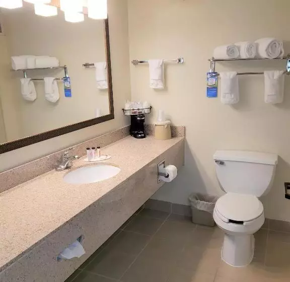 キングサイズベッドのスタンダードルーム, Best Western Fishers Indianapolis Area