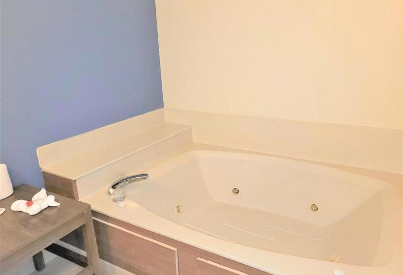 جناح غرفتين نوم, Best Western Fishers Indianapolis Area