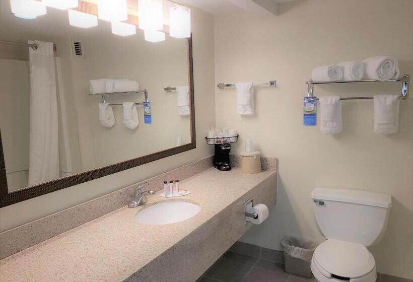 غرفة قياسية سرير كينج, Best Western Fishers Indianapolis Area