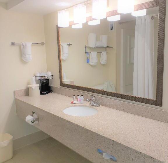 Quarto Standard Cama King, Best Western Fishers Indianapolis Area