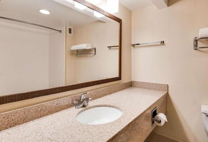 غرفة قياسية سرير كينج, Best Western Fishers Indianapolis Area