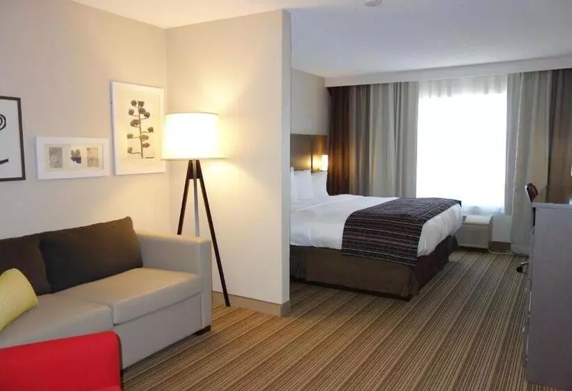 キングサイドベッドのスタンダードワンルーム, Country Inn & Suites By Radisson, Mason City, Ia