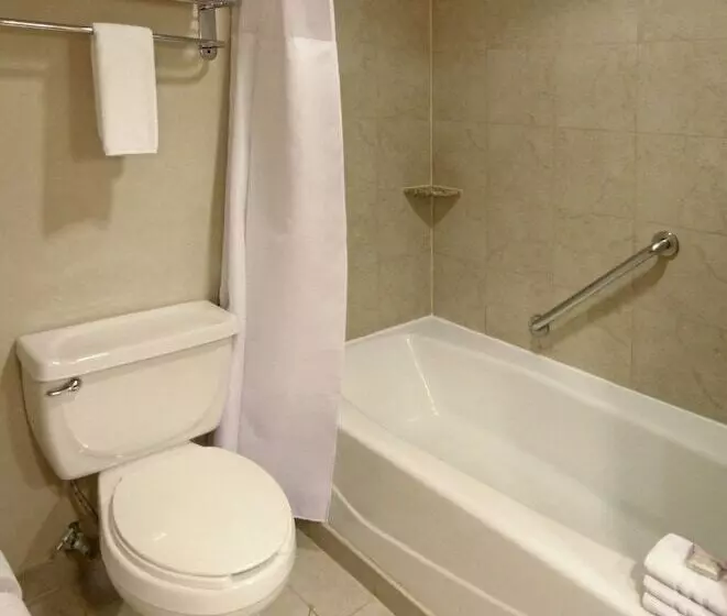 Standard-huone, Crowne Plaza Torreon, An Ihg