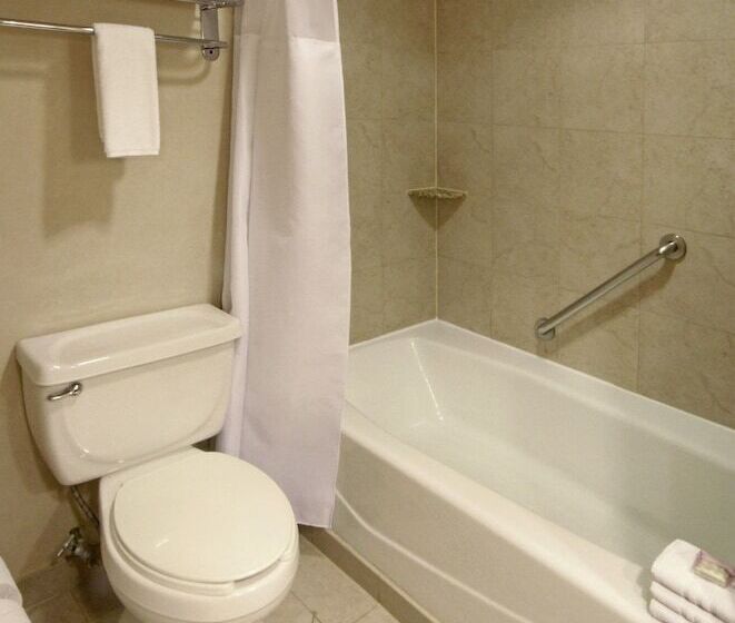 חדר סטנדרט שתי מיטות זוגיות, Crowne Plaza Torreon, An Ihg