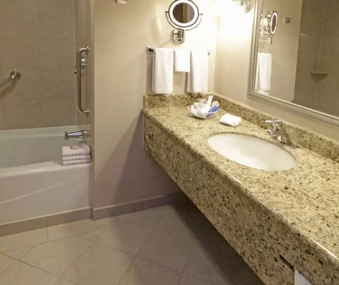 Standard-huone 2 Parivuodetta, Crowne Plaza Torreon, An Ihg
