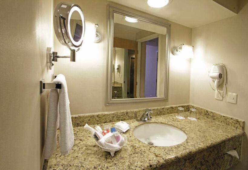 ２ダブルベッドのスタンダードルーム, Crowne Plaza Torreon, An Ihg
