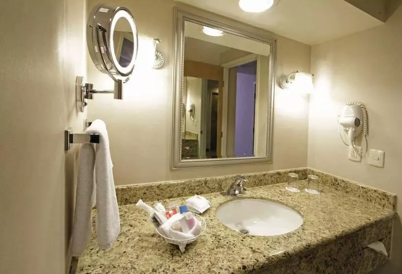 Standard-huone 2 Parivuodetta, Crowne Plaza Torreon, An Ihg