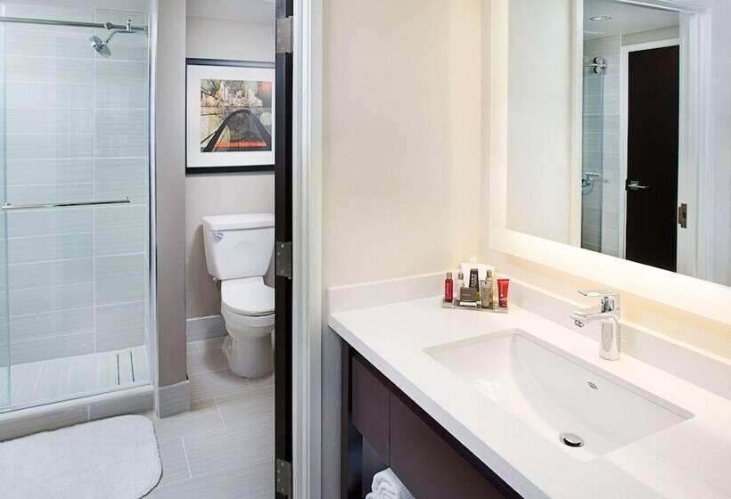 套房, Dallas Marriott Suites Medical/market Center