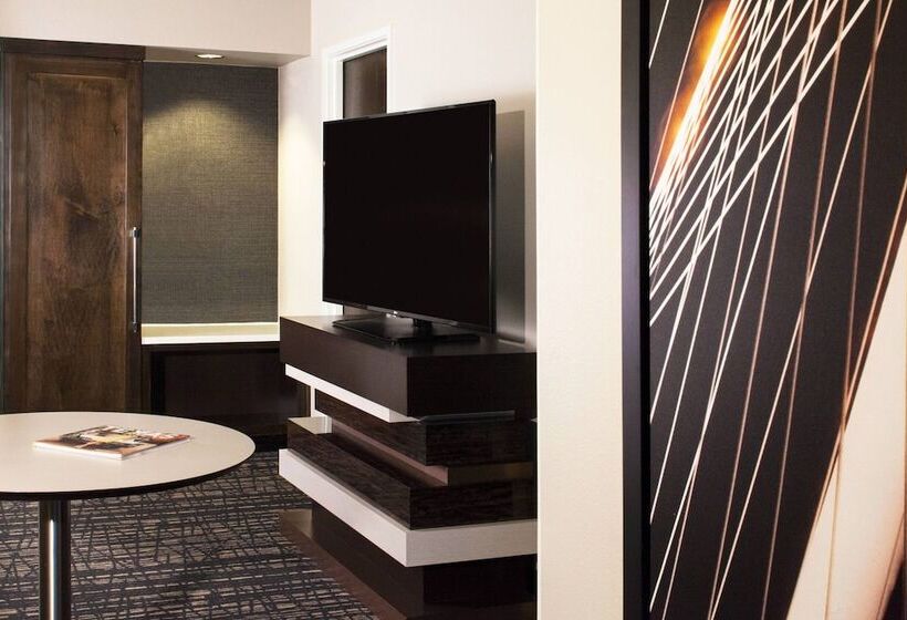 套房, Dallas Marriott Suites Medical/market Center