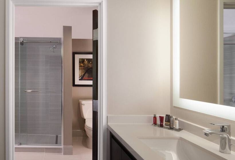 套房, Dallas Marriott Suites Medical/market Center