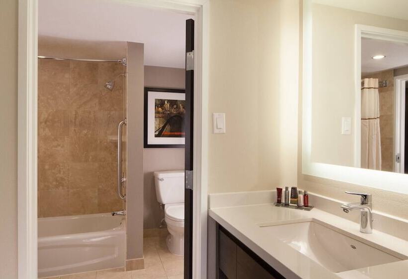 套房, Dallas Marriott Suites Medical/market Center