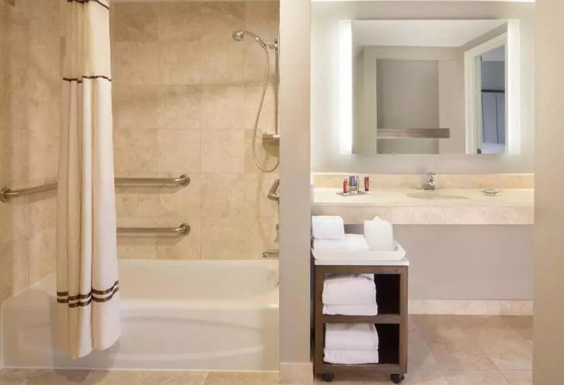 キングサイズベッドのスイートルーム, Dallas Marriott Suites Medical/market Center