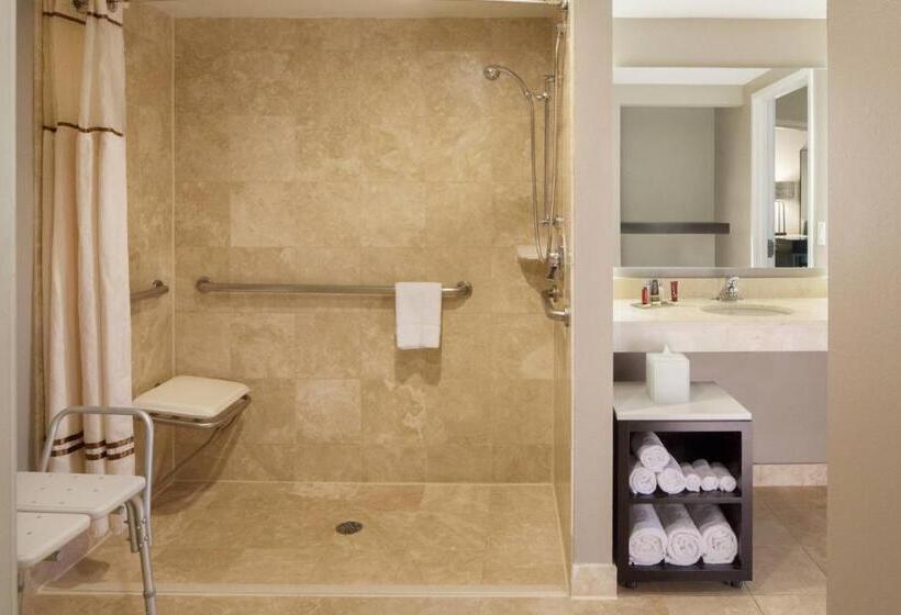 带大床的套房, Dallas Marriott Suites Medical/market Center