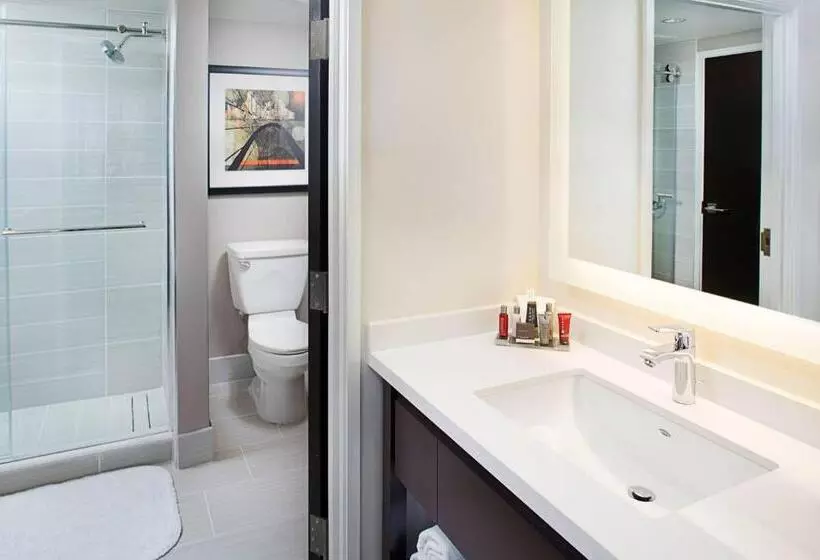 キングサイズベッドのスイートルーム, Dallas Marriott Suites Medical/market Center