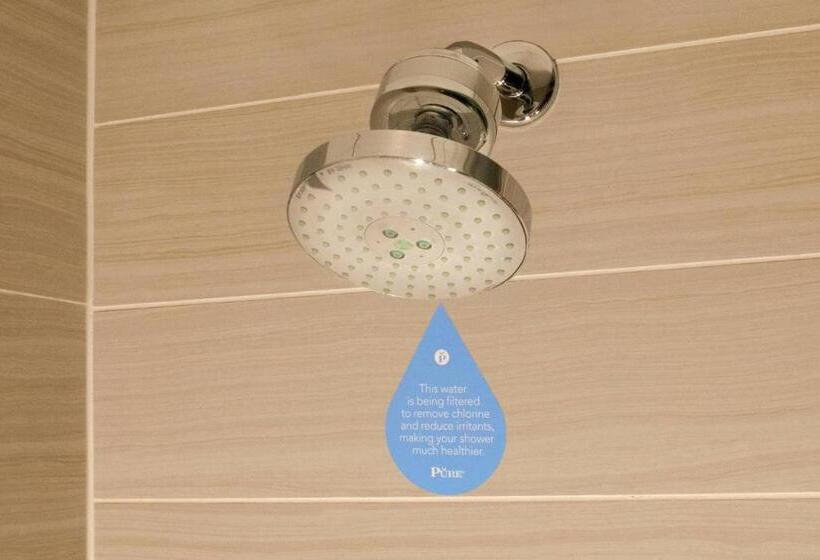 带大床的套房, Dallas Marriott Suites Medical/market Center