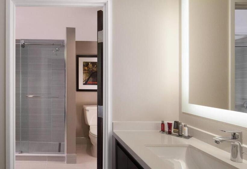 带大床的套房, Dallas Marriott Suites Medical/market Center