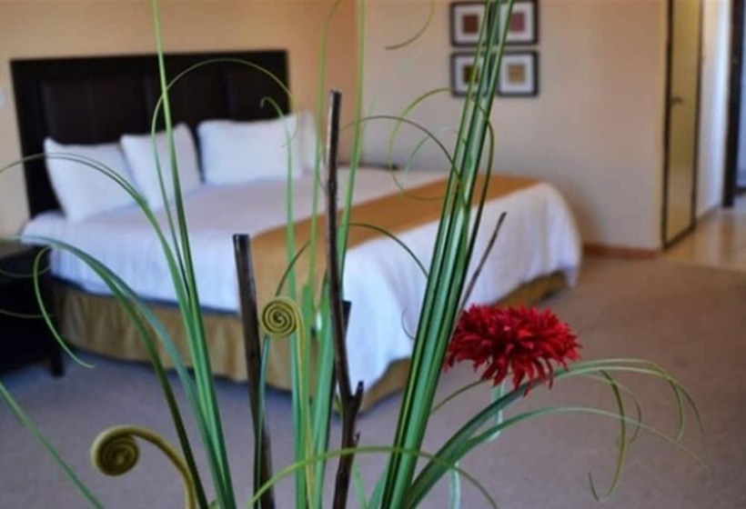 חדר סטנדרט, El Dorado