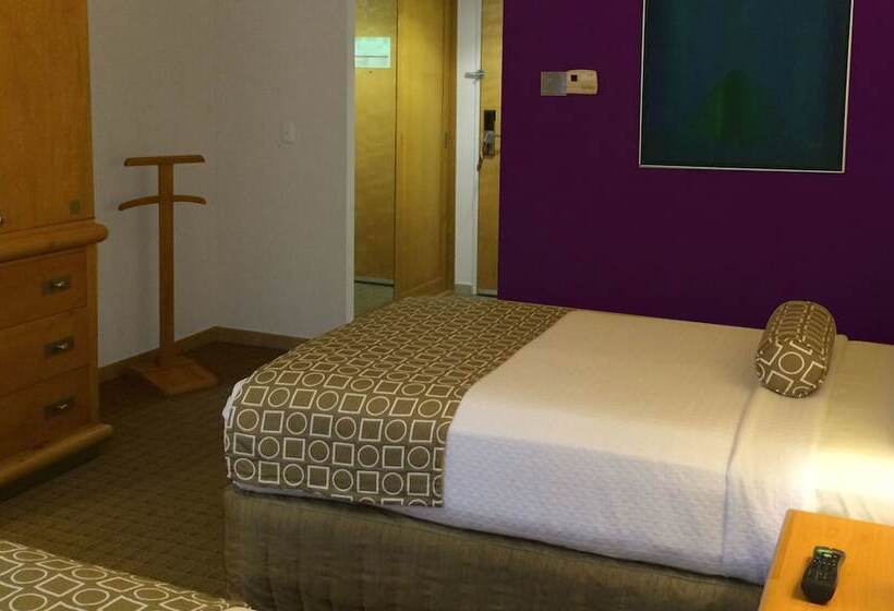 クラブルーム, Gamma By Fiesta Americ Xalapa Nubara