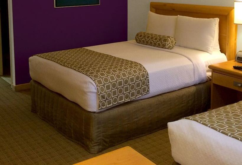 スーペリアールーム, Gamma By Fiesta Americ Xalapa Nubara