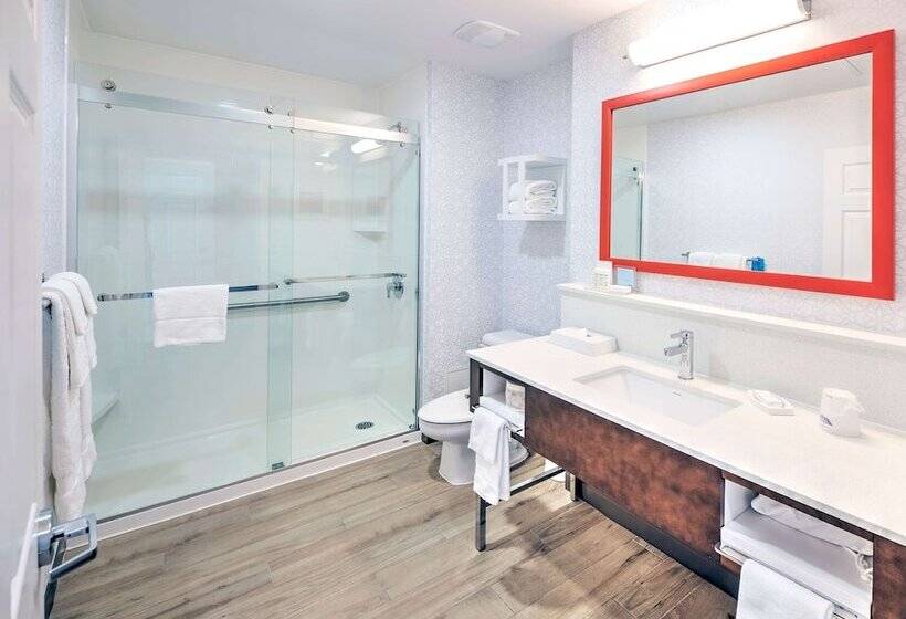 סוויטה, Hampton Inn By Hilton Ottawa